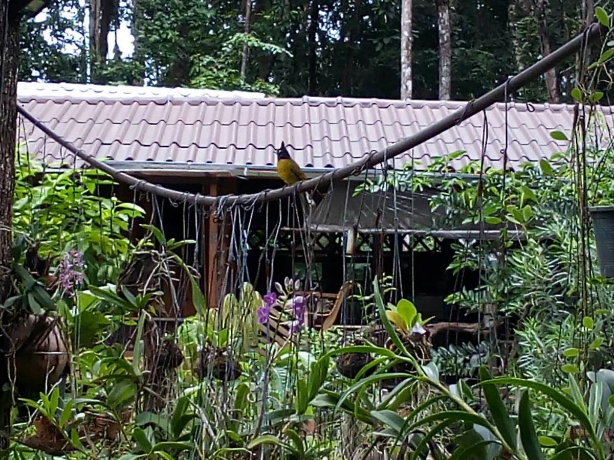 Hotel Koh Kood Little Hut Ko Kut Exterior foto