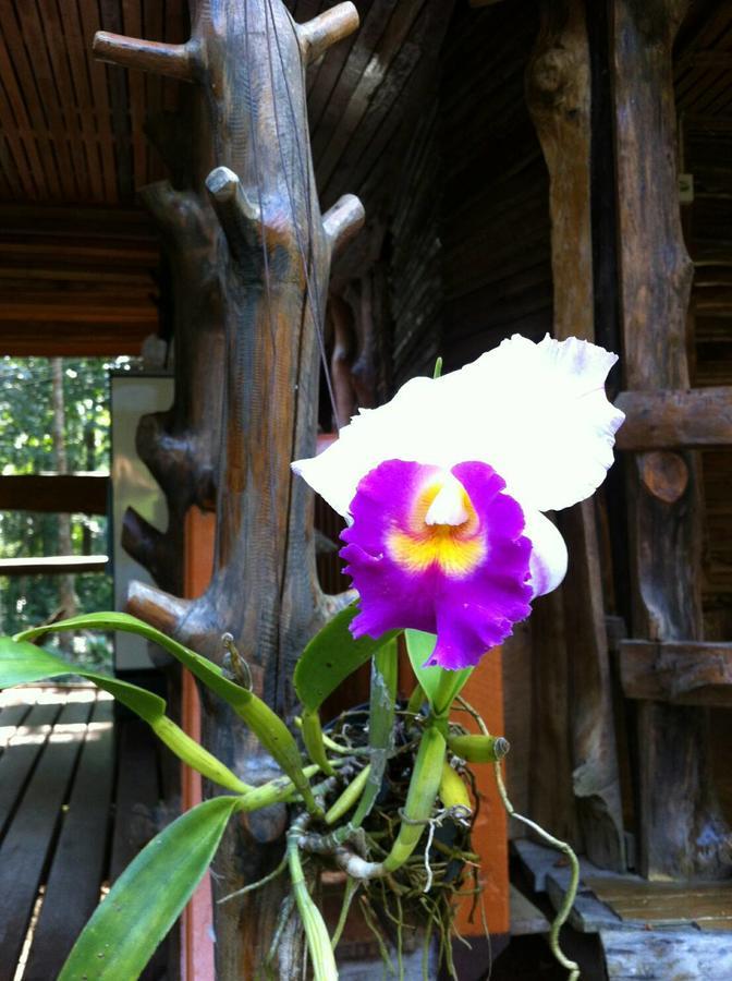 Hotel Koh Kood Little Hut Ko Kut Exterior foto