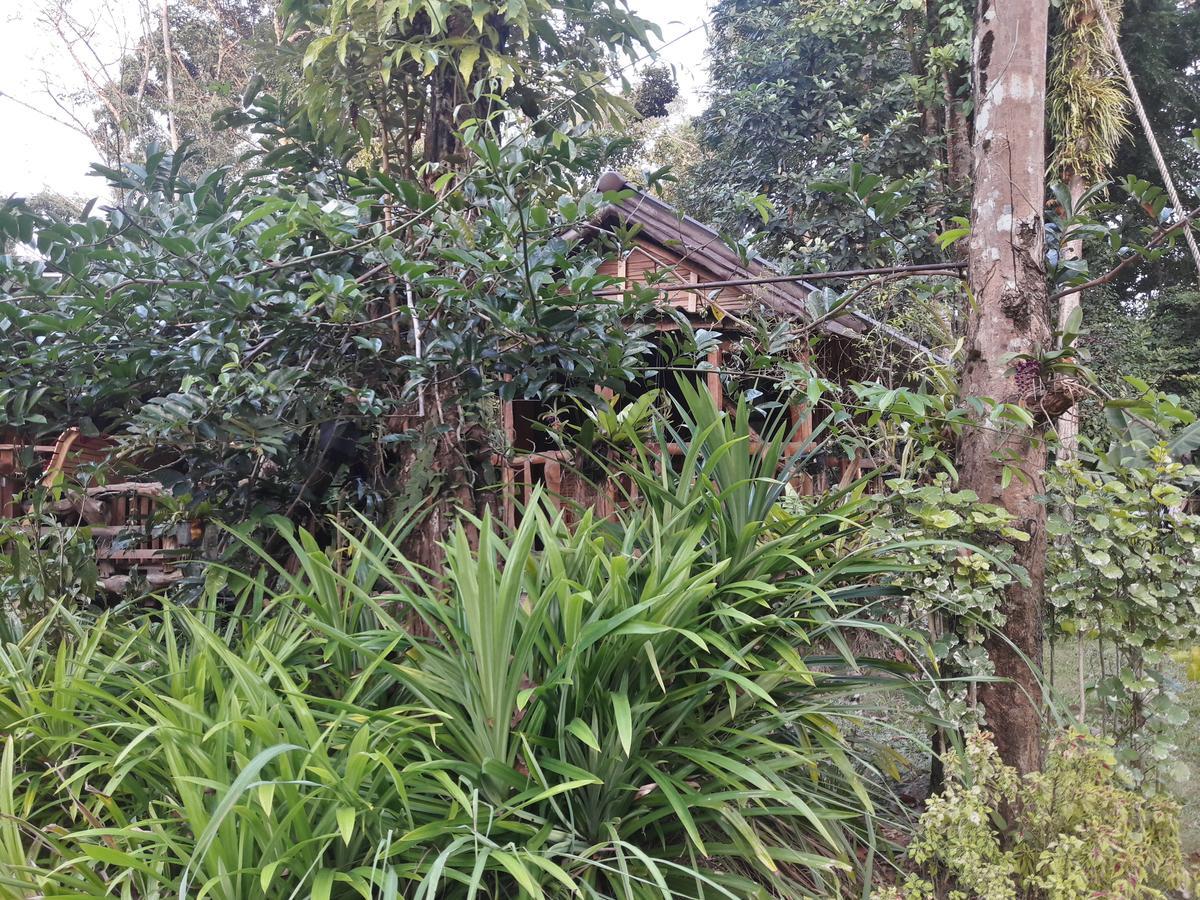 Hotel Koh Kood Little Hut Ko Kut Exterior foto